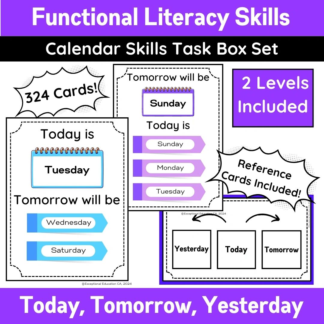 Task Box Circle Cards for Today, Tomorrow, and Yesterday IEP goal skills for special education students